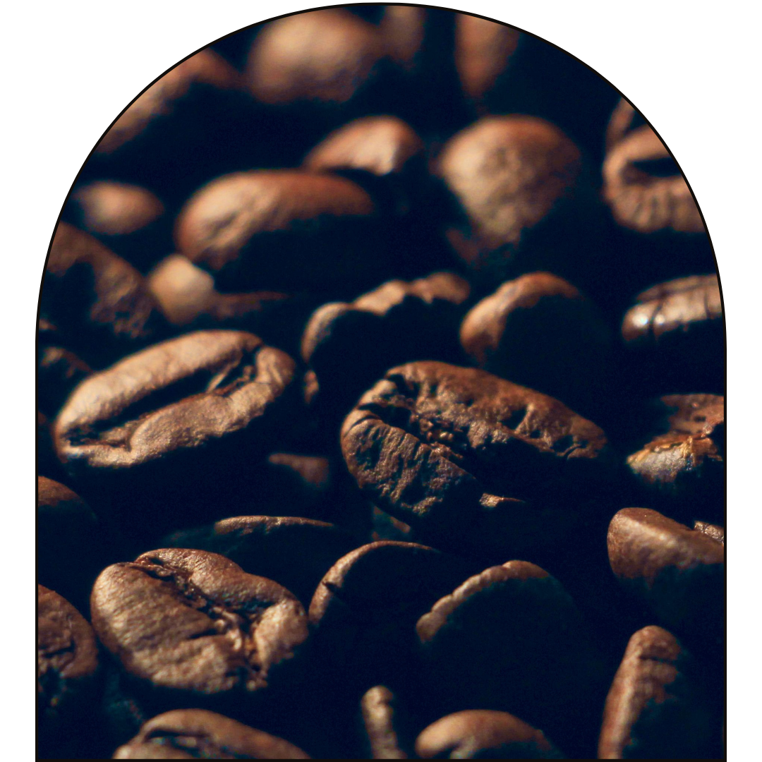 DEAD TIRED [Soy Wax Melt]