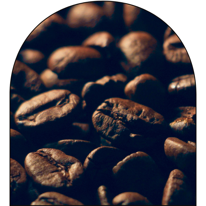 DEAD TIRED [Soy Wax Melt]