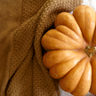 COZY PUMPKIN